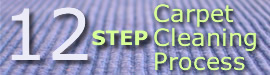 Learn more about the Gerlach Cleaning Systems 12 Step Carpet Cleaning Process
