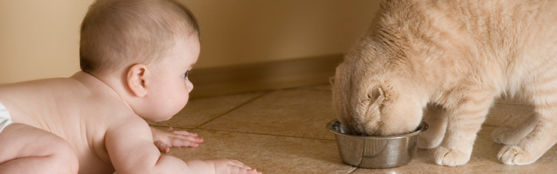 Gerlach Cleaning Systems - Gerlach Guarantees It!
