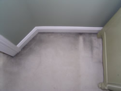 Those ugly black lines on your carpet around the baseboards and under doorways.